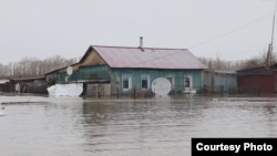 Солтүстік Қазақстан облысында қазір Түркістан, Қарағанды, Павлодар, Ұлытау облыстарының және Астана мен Алматының ТЖД қызметкерлері жұмыс істеп жатыр.