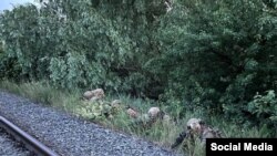 Бойцы РДК возле Новой Таволжанки. Белгородская область, Россия, май-июнь 2023 года