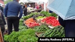 Pomidor, xiyar istixanada yetişdirilib