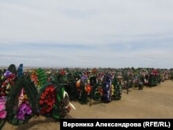 Аллея погибших в Украине военных из Забайкалья, Борзя