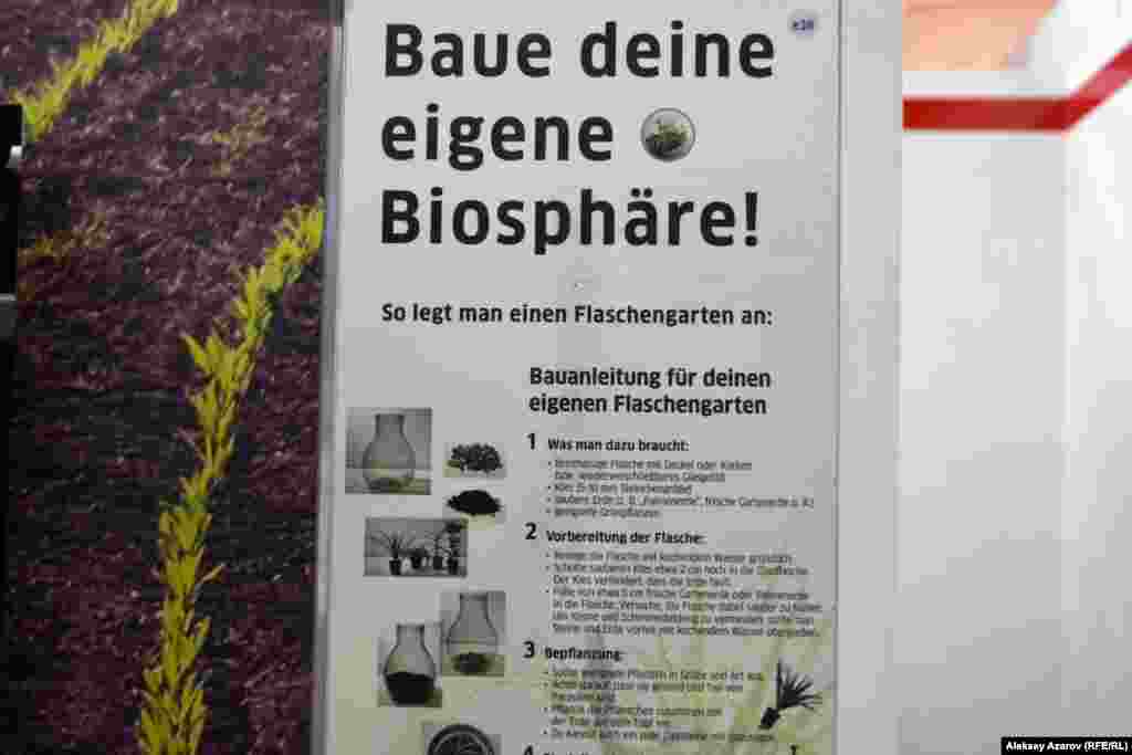 Впрочем, советы тем, у кого нет приусадебного участка, но есть желание что-то выращивать , выставка дает. На этом стенде &laquo;Создай свою собственную биосферу&raquo; даются пошаговая инструкция, как вырастить сад в бутылке.