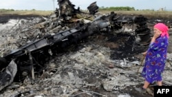 Жергілікті тұрғын екі күн бұрын MH17 жолаушылар ұшағы апатқа ұшыраған жерде тұр. 19 шілде 2014 жыл.