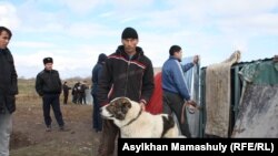 Житель села Шамалган Куандык Мусаев со своим псом. Узынагаш, 10 ноября 2014 года.