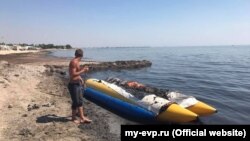 Водоросли на пляже в Евпатории