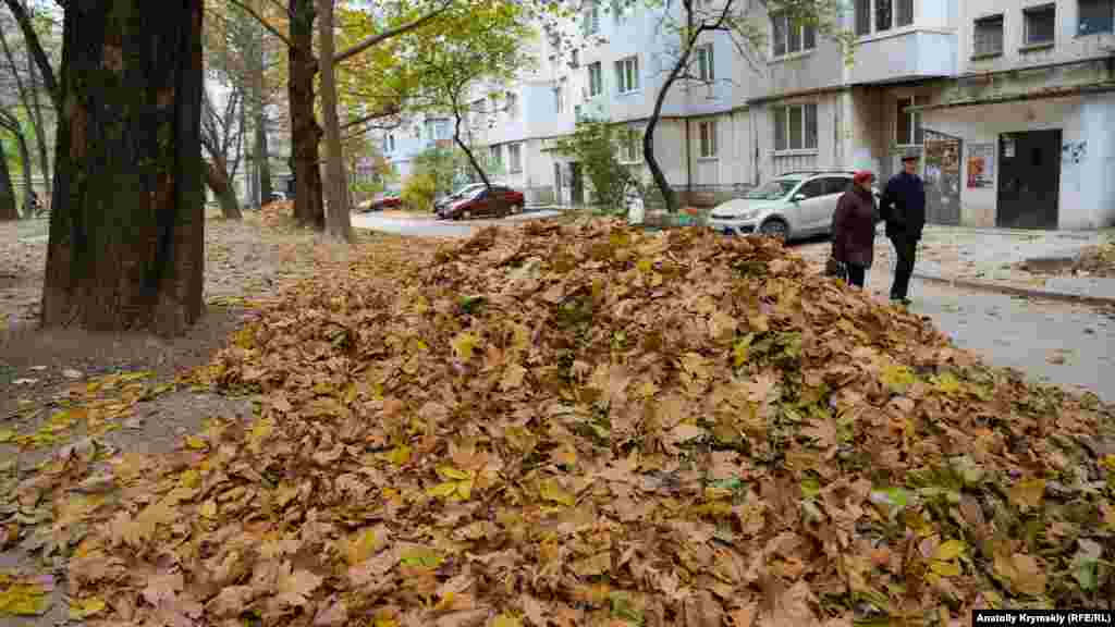 Результаты труда местных дворников