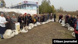 Pambıq yığımına cəlb edilmiş Qadın Komitəsinin üzvləri