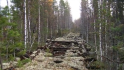 Лежневка - дорога, по которой спецпоселенцы возили бревна