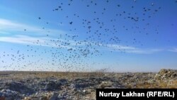 Полигон занимает площадь в несколько километров. Его нельзя не заметить, даже если не видишь: вонь идет такая, что першит в горле. Алматы, 4 декабря 2020 года.