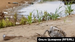 Пластиковый поплавок, используемый браконьерами из Северной Кореи