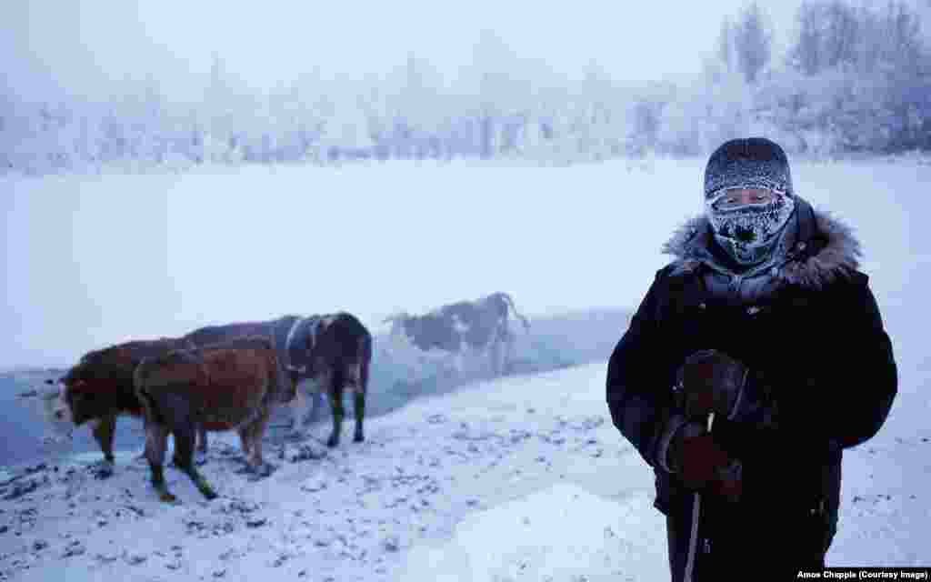 Оймякон на местном языке означает &laquo;незамерзшая вода&raquo;. Этот источник воды не покрывается льдом в течение всей зимы, поэтому сюда пригоняют на водопой оленей и крупный рогатый скот.