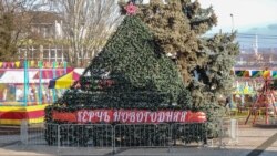 Новогодняя елка на центральной площади Керчи, декабрь 2019 года