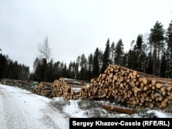 Вегарустың төңірегінде ағаш дайындайтындар көп, бірақ тұрғындарға жұмыс жоқ.