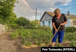 Жительница села Калачи Татьяна Шумилина ухаживает за огородом. Акмолинская область, 29 июля 2020 года.