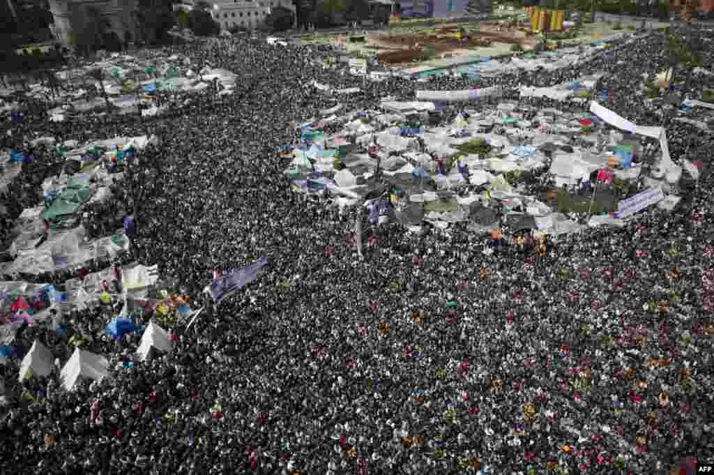 Təhrir Meydanı, 11 fevral 2011.